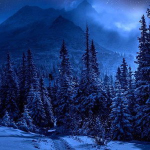 dark of night