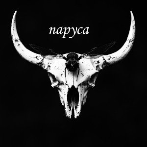 Nek - паруса 