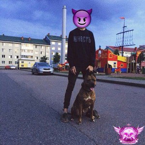 айфон андроид