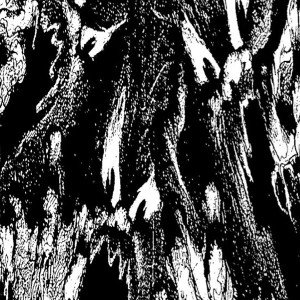 10000 wheeping choirs (warboy)