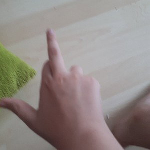 der Verräter disstrack (get the fuck other hir)