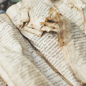 Torn pages of my Life