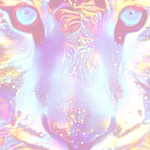 tiger coming  (Bass Boost)