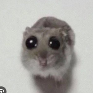 I trust 