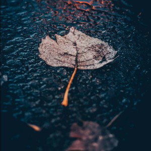 rainy days