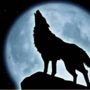 Wolfpack 
