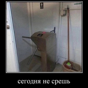 Шнурок