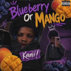 Blueberry 🫐 Or Mango 🥭 