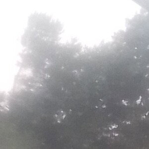 ari get it sexy Remixed