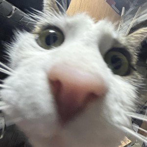 hey buddy!