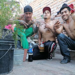 FUMEXICAN KCLAN