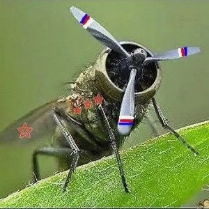 ᴀ ʍухᴀ ᴛожᴇ ʙᴇᴩᴛоᴧᴇᴛ