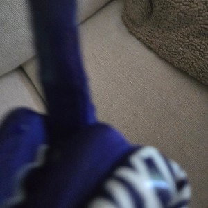 fuck u