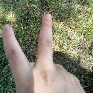 world peace