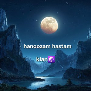 دومین ترک