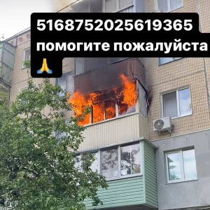 я трах твою маму