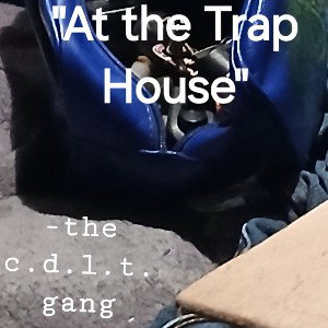 "At the Trap House"