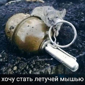 власть масть