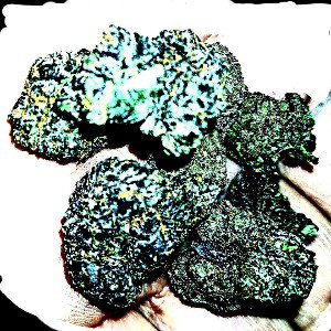 Sillk the Talker -- "C, D, R, & F"