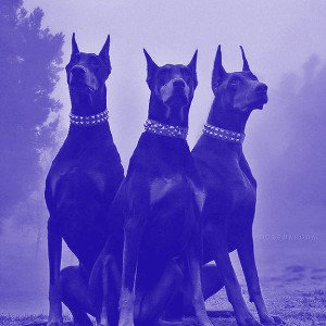 Ifigottofighttheniwill️ (Slowed + Reverb)