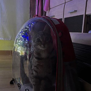 я новичок