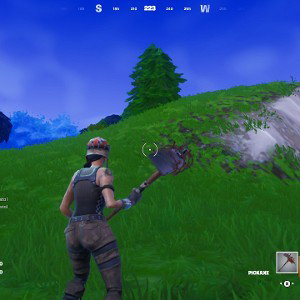 Fortnite season