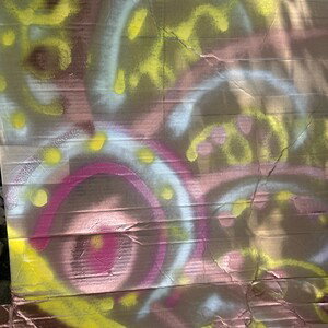 America-land of the free-or is it?  alyssaDixonI am the artist of this spray can art on cardboard)