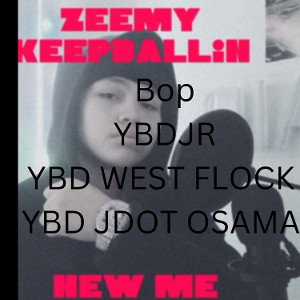 zeemykeepballin bopft wflock jr