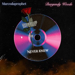 Never Knew Ft.(Burgundy Woods)