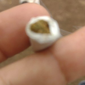 la lealtad esta escaza