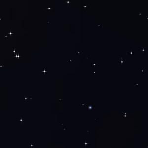 stelle