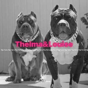 Thelma&Louise
