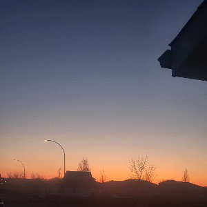 cant say goodbye 