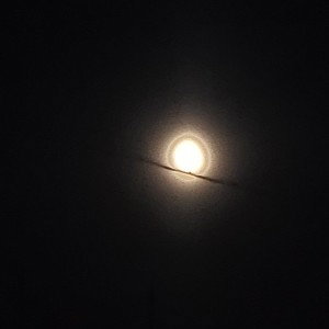 moon love 