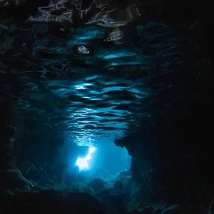 Dans les abysses 