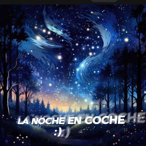 La noche en coche 
