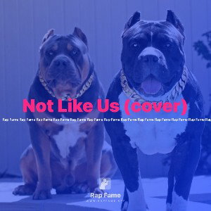 Not Like Us (cover)