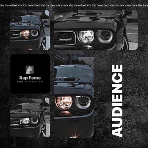 audience 