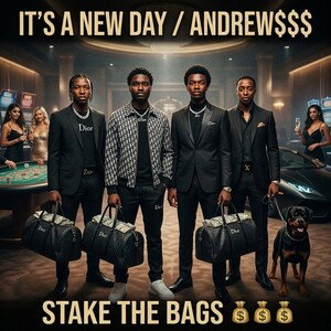 stake the Bags 💰💰💰