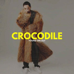 Crocodile Hustle