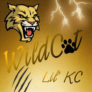 Wildcat