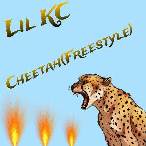 Cheetah(Freestlye)