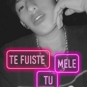 te fuiste  tú 