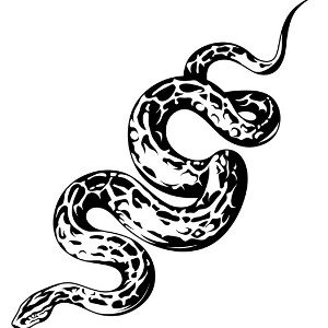 🅱️🅾️🅰️ (SERPENTE MALIGNO)