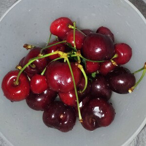 июль июль