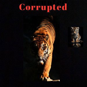 it’s corrupted