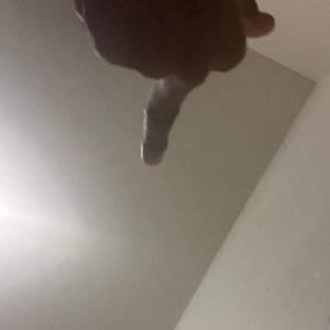 Nobody out