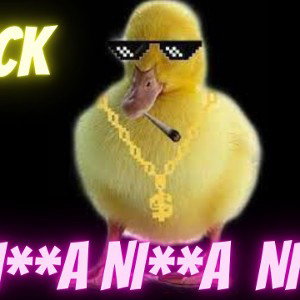 Baby💞 Duck 🦆