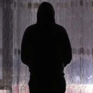 hamlar kriminellt liv - addm-Ise