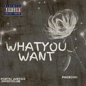 PacEcho - WhatYouWant (JerseyClub)